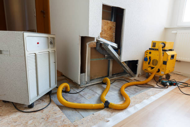 Mold Odor Removal Services in Helena Flats, MT